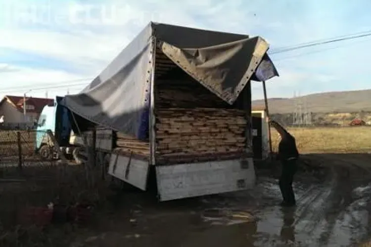 TIR plin de lemne tăiate ilegal depistat în Florești. Lemne de peste 20.000 de lei au fost confiscate VIDEO