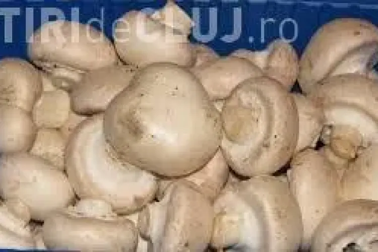 Clujean prins în timp ce vindea ciuperci ilegal