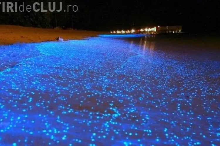 Cum arată cea mai frumoasă plajă din lume. Malul se luminează în fiecare seară FOTO