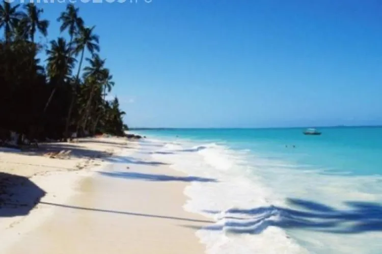 Povestea extraordinară a unui supraviețuitor. A fost pierdut pe mare din 2012 până ieri