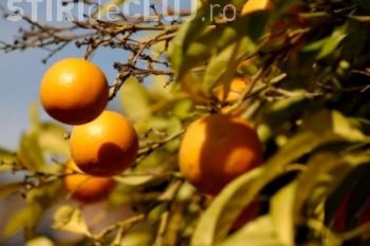 Lucrurile pe care nu le știai despre portocale