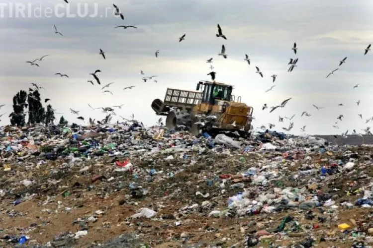 Groapa de exterminare de la Pata Rât! Câți oameni au murit în ultimii ani