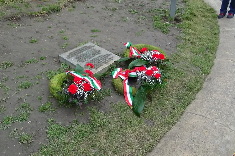 Matei Corvin aniversat la Cluj-Napoca cu coroane de flori și Imnul Ungariei - VIDEO