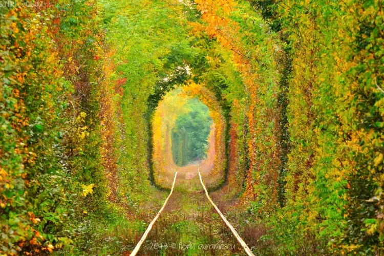”TUNELUL IUBIRII” din România, unul dintre locurile de poveste - FOTO