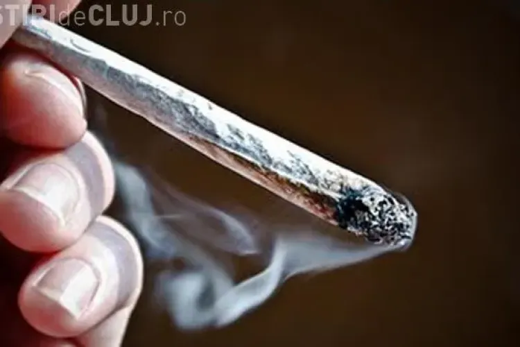 Poate ucide marijuana? Un raport dă răspunsul exact