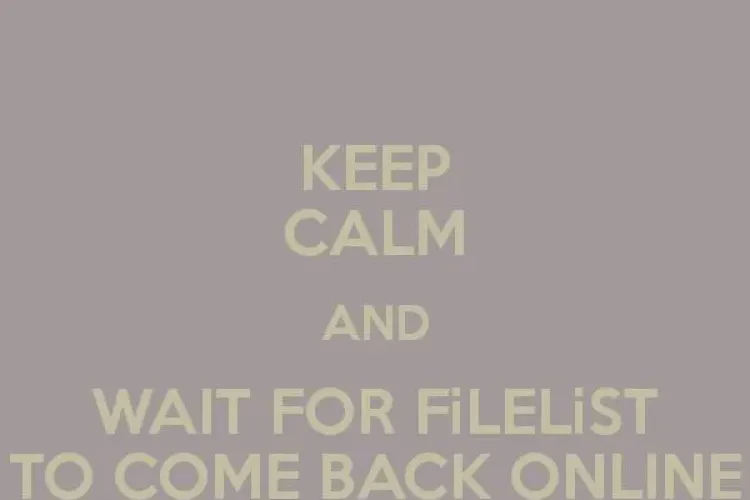 Filelist.ro a căzut! Cel mai bun site de torente nu poate fi accesat de câteva zile