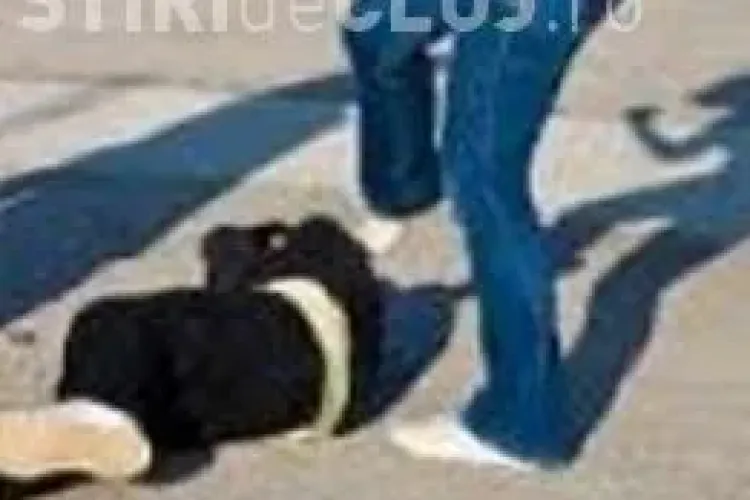 Eleva de 13 ani BĂTUTĂ cu cuțitul la gât! Poliția Cluj anunță un nou dosar penal după dezvăluirile unui părinte