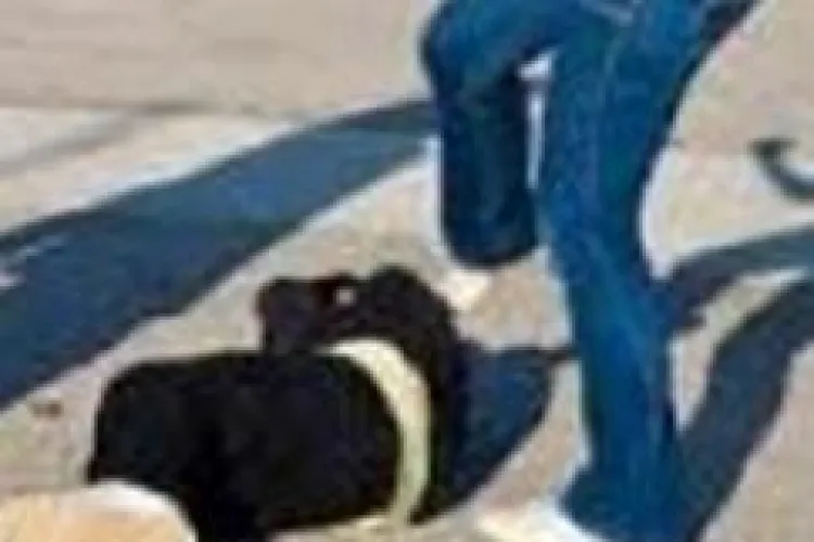 Elevele care au bătut o fată de 13 ani studiază la Liceul Mihai Eminescu și la Liceul Sportiv