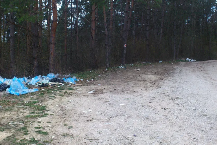 Pădurea Făget a ajuns rampă de gunoi - FOTO