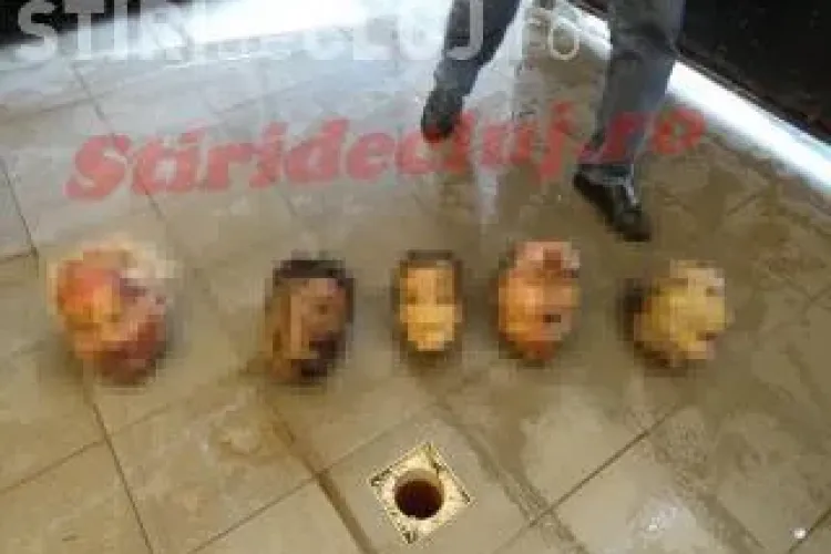 Barbarii de la IML Cluj. Doi medici legişti vor fi puşi sub acuzare pentru profanare de cadavre