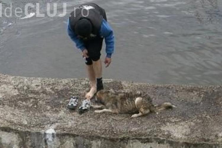 Un clujean a sărit în Someș pentru a salva un câine - VIDEO