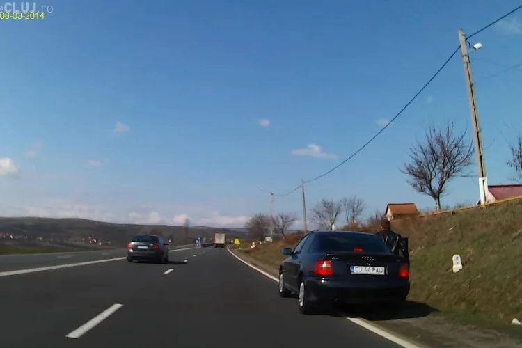 Cum se abandonează o pisică la Cluj! Un șofer a blocat mașina din care era aruncat animalul - VIDEO