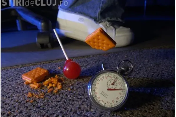 Este reală ”Regula celor cinci secunde”? Vezi ce spun cercetătorii