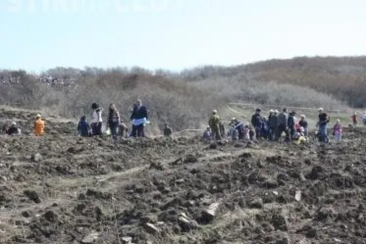 1.500 de voluntari au împădurit 10 hectare de teren în Pădurea Transilvania - FOTO