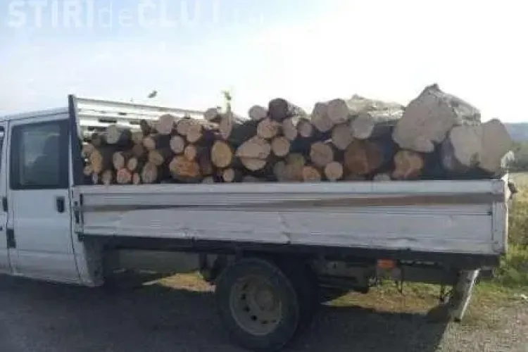 Clujeni prinși cu lemne furate în mașini