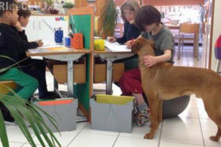 Câini special dresați sunt folosiți în școlile elvețiene pentru a aduce liniște în clasă