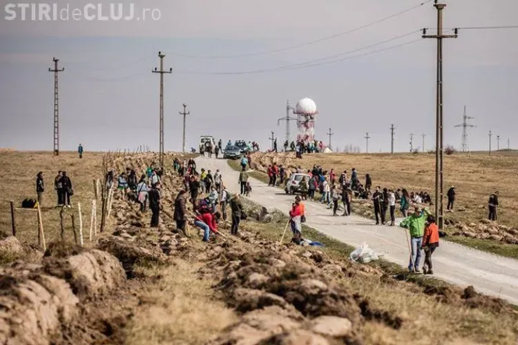 Clujenii au ieșit la plantat arbori pe Dealul Feleacului FOTO