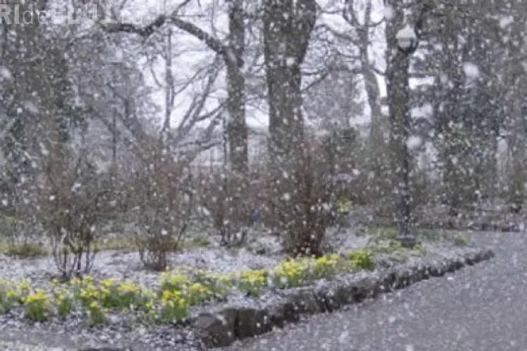 Ninsori în acest weekend. Prognoza METEO la CLUJ