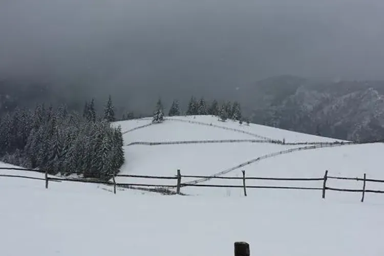 A NINS ca în POVEȘTI în zona de munte a Clujului - FOTO