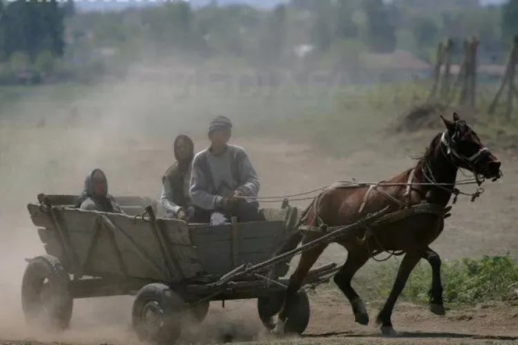 Accident cu două victime la Cluj! un bărbat s-a răsturnat cu căruța lângă calea ferată