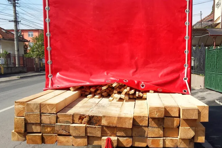 Defrișările ilegale continuă FĂRĂ JENĂ la Cluj. Polițiștii au confiscat lemne de aproape 20.000 lei FOTO