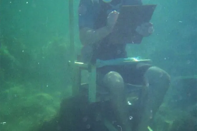 Acvariu imens amplasat pe Dealul Cetățuie din Cluj-Napoca. Se oferă și costum de scuba diving  - FOTO