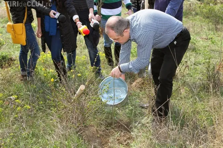 Boc a lăsat biroul Primăriei și a ieșit la plantat copaci FOTO