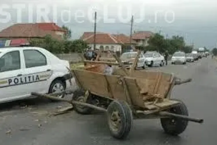 Accident în Gilău! Un șofer grăbit a lovit o căruță care transporta miei de DN 1