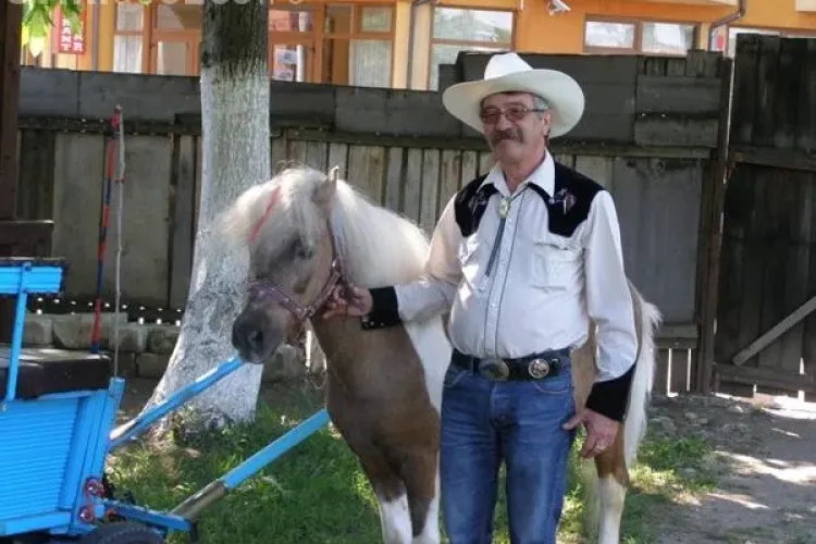 Poneiul ROCKY a fost salvat! Ce soluție a găsit Emil Boc - VIDEO