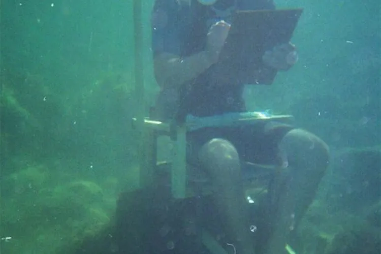 Desen subacvatic la Festivalul 18+ Cluj! Va fi montat un acvariu imens pe Cetățuie