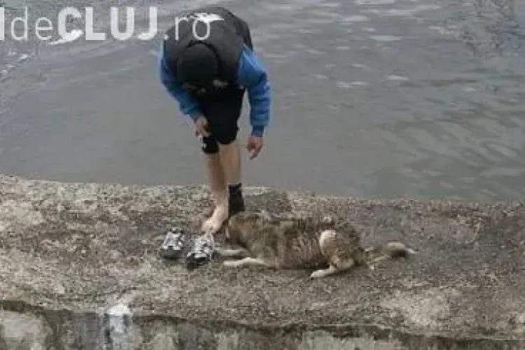 Clujeanul care a salvat câinele din Someș a fost lăudat de presa internațională
