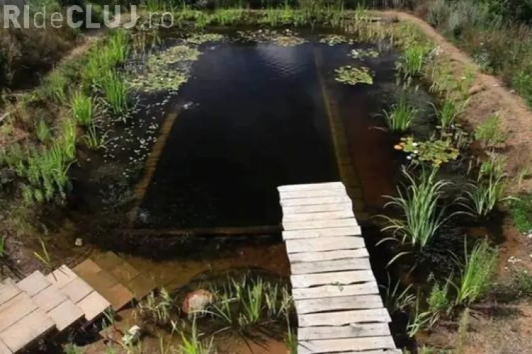 Cum să îți faci piscină ECO fără să cheltui o avere - VIDEO