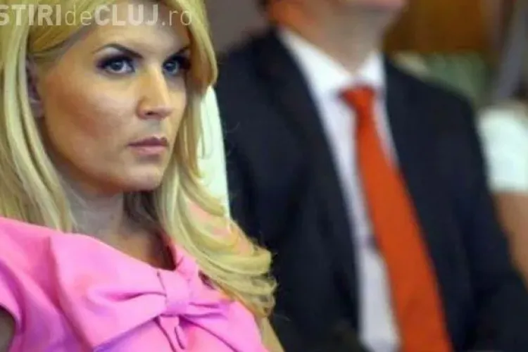 Udrea crede că partidele de centru-dreapta nu se vor uni