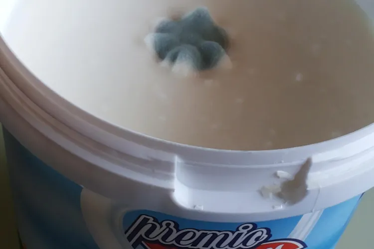 Smântână cu mucegai la Cora Cluj - FOTO