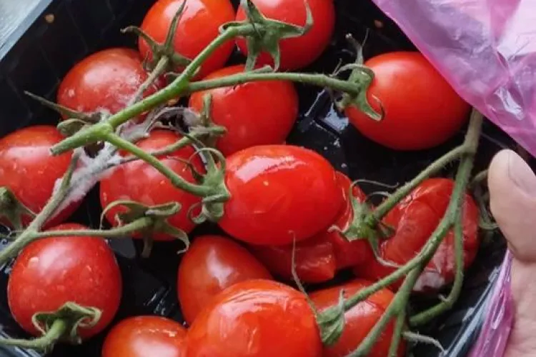 Așa arată roșiile cumparate de vis-a-vis e BIG Manastur - FOTO