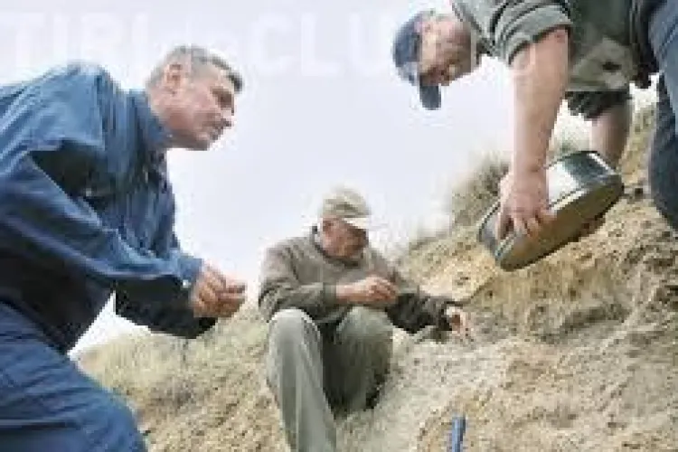 Cercetătorii clujeni au descoperit la Alba fosila unei noi specii de mamifer
