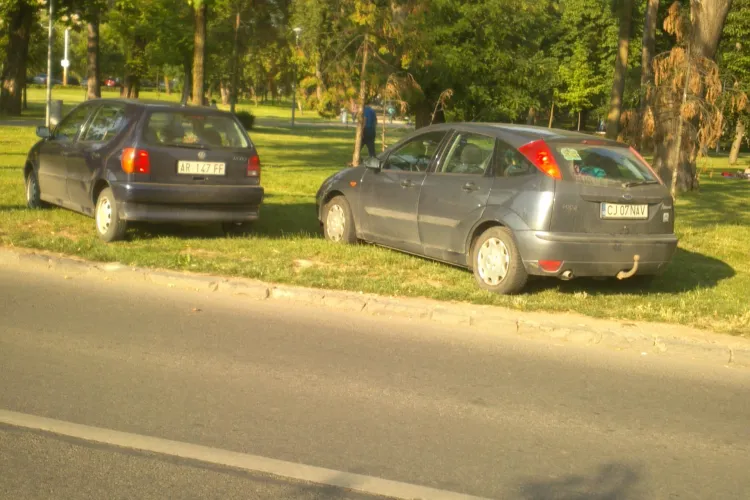 Au ieșit la picnic în Parcul Central. Cu mașinile direct pe iarbă - FOTO