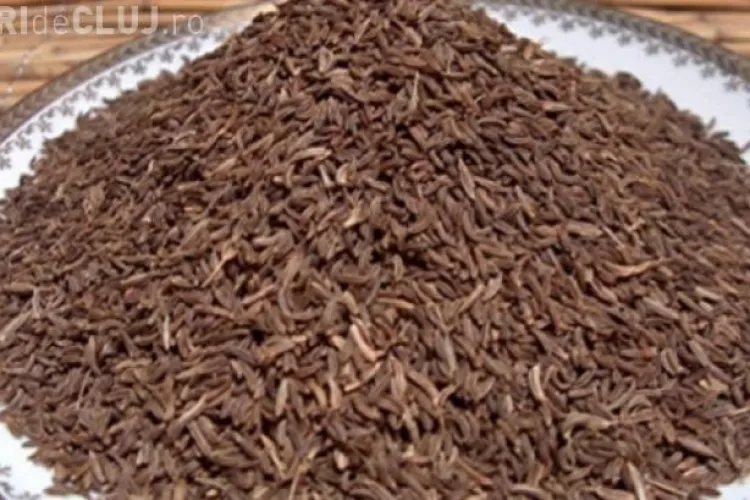 Care sunt alimentele care te scapă de grăsimea de pe abdomen