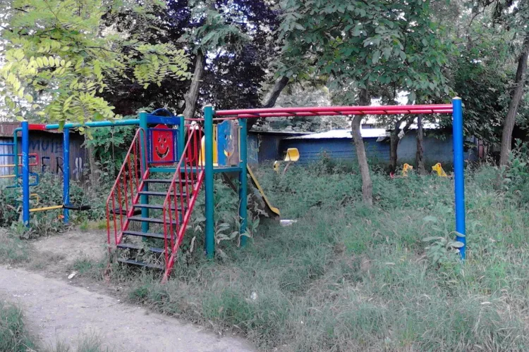 Lenea la clujeni! Cei de pe strada Aurel Suciu cer Primăriei să taie iarba la locul de joacă - FOTO