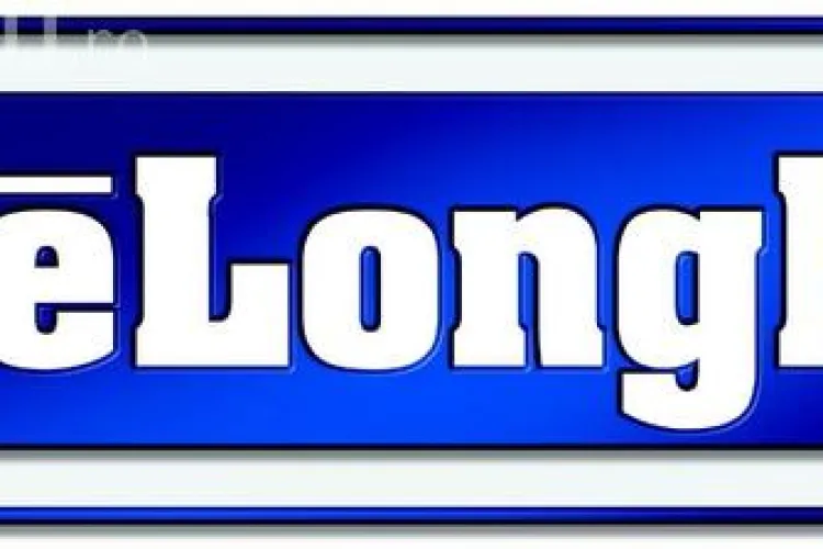 Târg de forță de muncă la Delonghi - Jucu