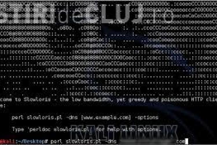 Serverul Stiri de Cluj a fost atacat informatic cu Slowloris. Ne cerem scuze pentru neplăceri
