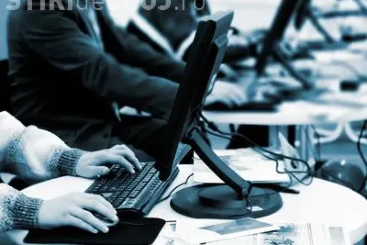 Un elev din Cluj este medaliat la Olimpiada Internaţională de Informatică