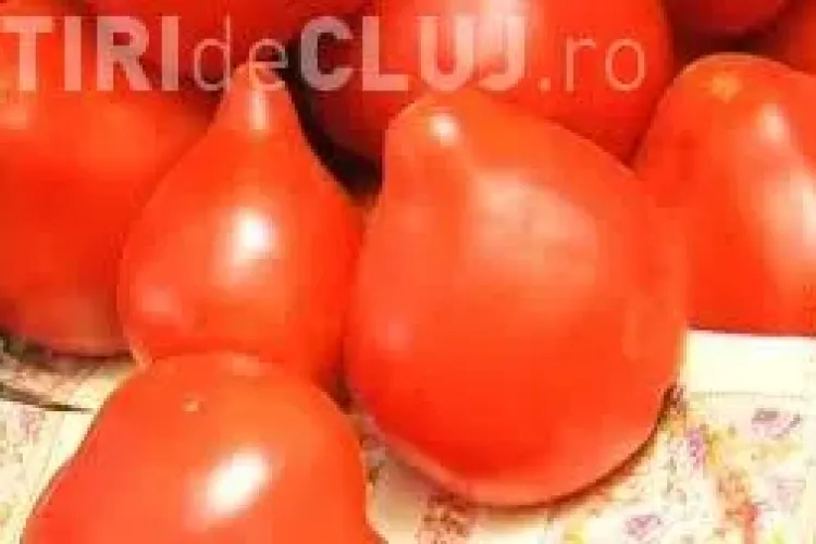 Roșiile țuguiate suspecte de a fi cancerigene? Dr. Menci: ”Nu sunt roșii autentice românești"