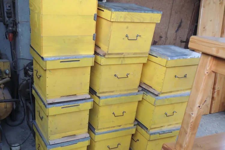 Clujeni reținuți de polițiști pentru furt. Au sustras peste 50 de stupi într-o singură seară