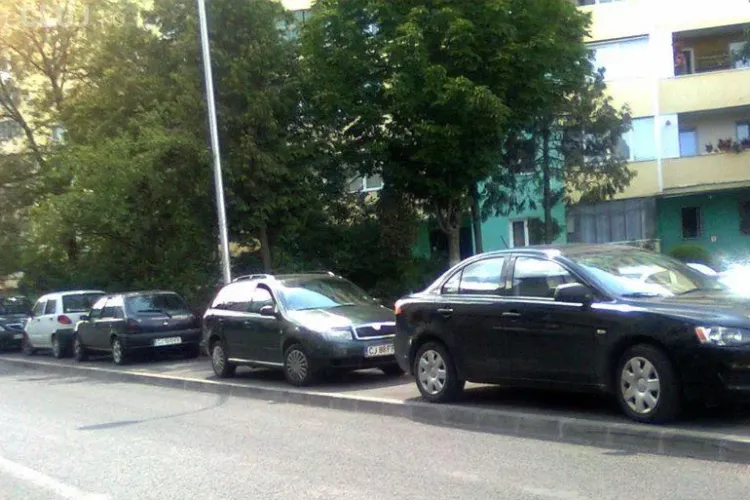 VEZI fotografia pentru care mănășturenii sunt făcuți MITOCANI LA VOLAN - FOTO