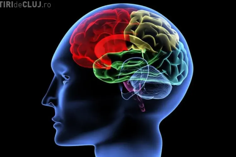 Cât de inteligenți sunt românii? Vezi cum arată harta coeficientului de inteligență din Europa