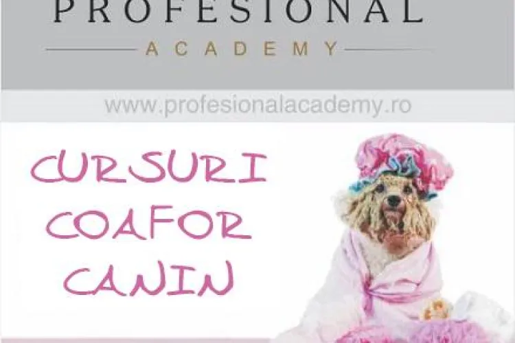 Cursuri profesionale de toaletaj canin la Cluj, în premieră în România. Vezi unde te poți înscrie (P)