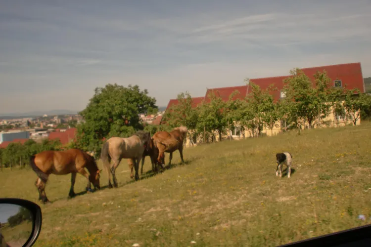 Ghiciți unde sunt făcute fotografiile de mai jos? - FOTO 