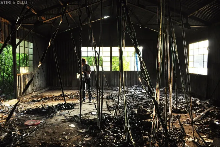 Depozitul de Filme va fi inaugurat în 8 august. Va găzdui spectacole, concerte și expoziții și va avea loc de joacă pentru copii