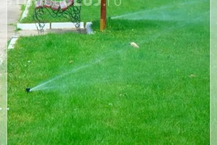 Primăria vrea sisteme de irigație automate pentru spațiile verzi din Cluj. Investiție a fost estimată la 420.000 lei